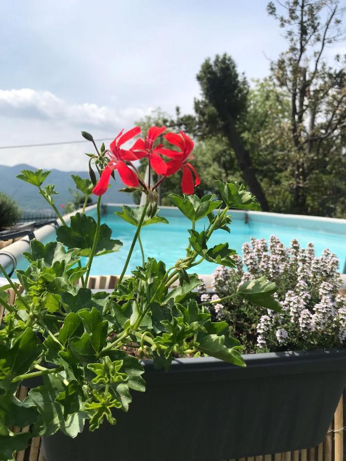 Villa Le Vignole Ameno ภายนอก รูปภาพ
