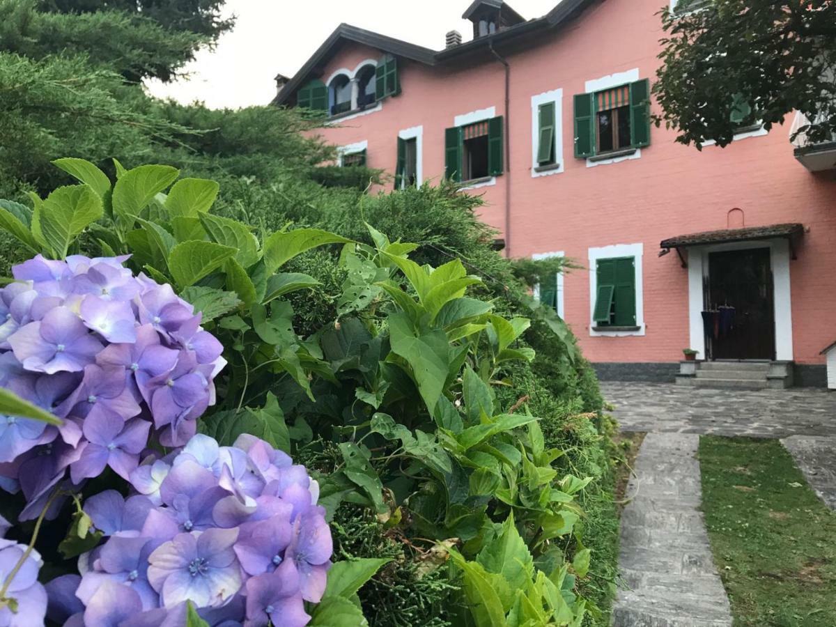 Villa Le Vignole Ameno ภายนอก รูปภาพ
